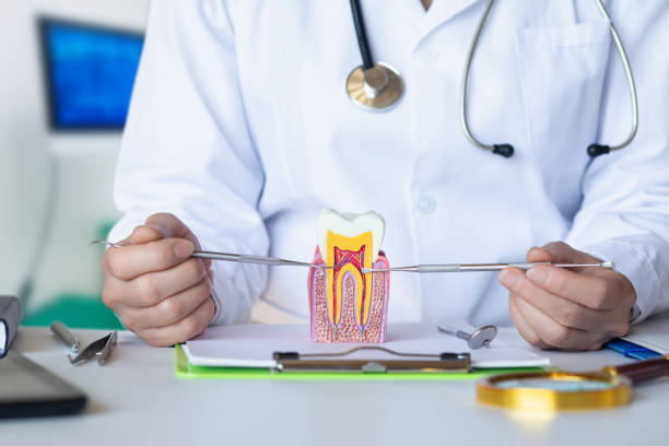 Emergency Dentist for Kids in SD